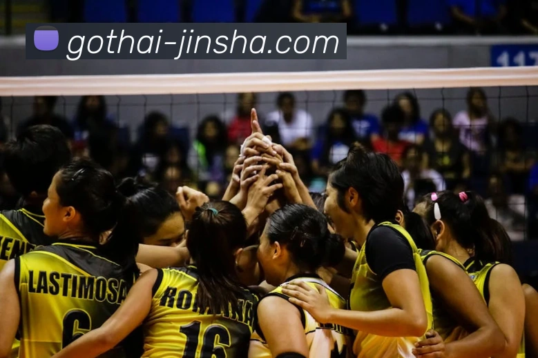 App Interface Preview