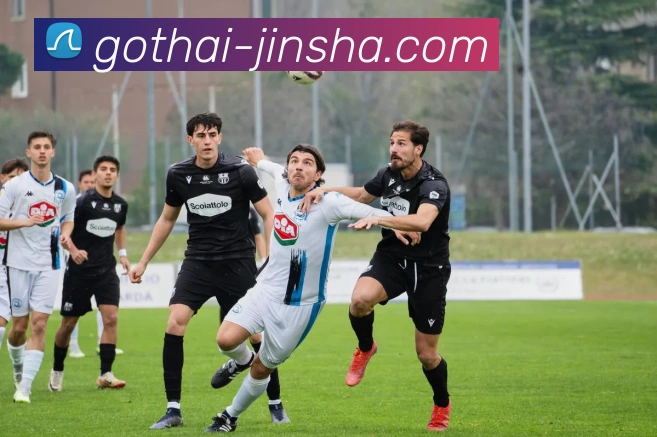 澳门金沙官网APP 封面图